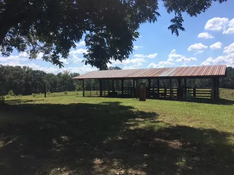 3215 Co Rd 258, Five Points, AL 36855 photo 17