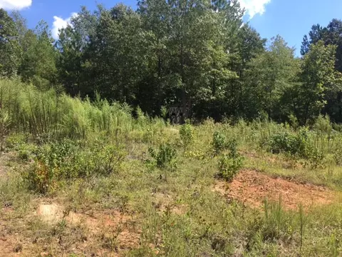 3215 Co Rd 258, Five Points, AL 36855 photo 18