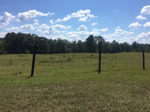 3215 Co Rd 258, Five Points, AL 36855 photo 16