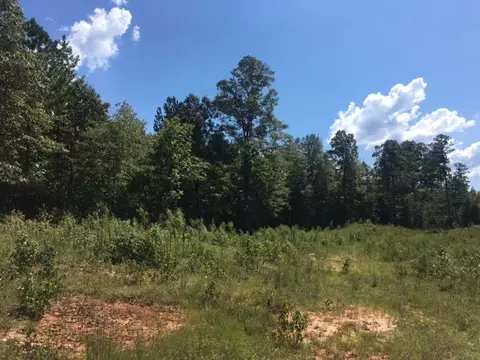 3215 Co Rd 258, Five Points, AL 36855 photo 19