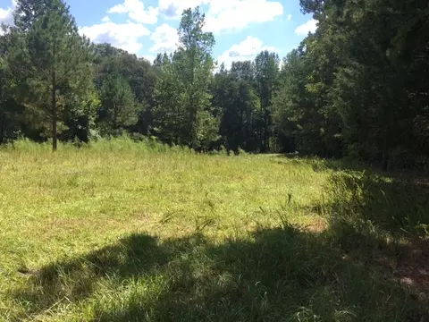 3215 Co Rd 258, Five Points, AL 36855 photo 25