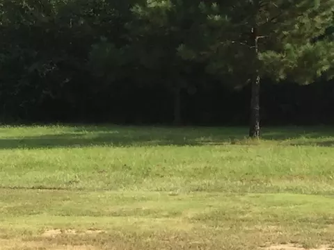 2526 Jones Lake Rd, Strong, AR 71765 photo 21