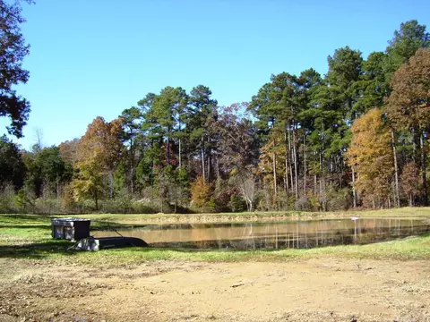 1590 Hwy 234, Ashdown, AR 71822 photo 16