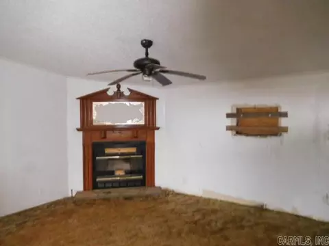 219 County Road 549, Piggott, AR 72454 photo 2