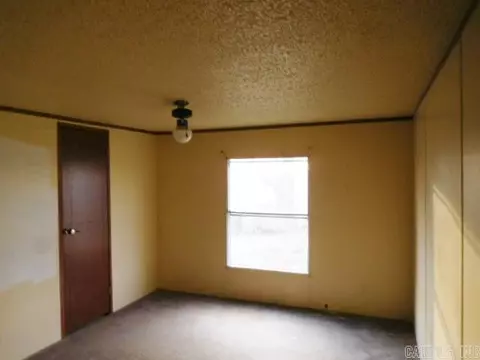 219 County Road 549, Piggott, AR 72454 photo 6