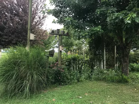 107 Nicholas, Colt, AR 72326 photo 15