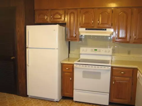 913 Daisy Dr, Dexter, MO 63841 photo 8