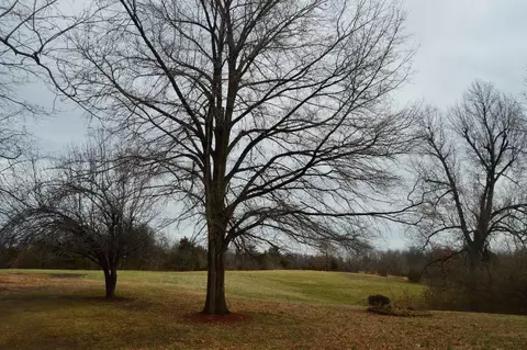 15839 State Hwy Af, Dexter, MO 63841 photo 17