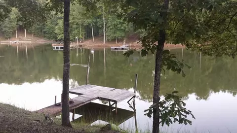 135 Arrowhead Dr, Delta, AL 36258 photo 2