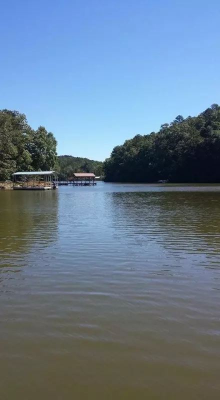 135 Arrowhead Dr, Delta, AL 36258 photo 5