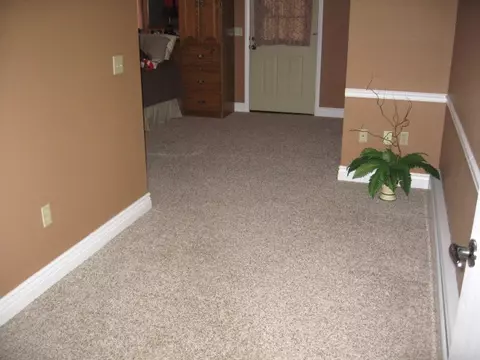 915 W Bain, Dexter, MO 63841 photo 11
