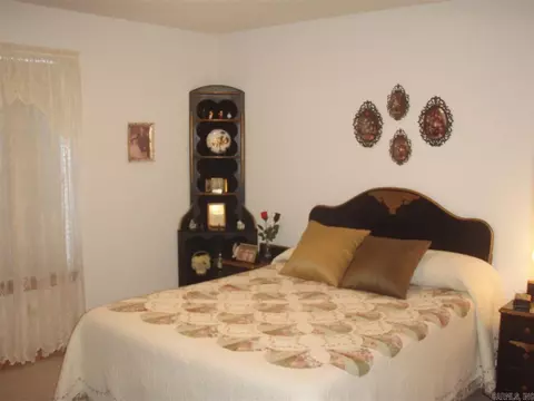 431 Brodie Ln, Ashdown, AR 71822 photo 11
