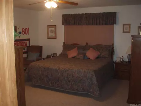 431 Brodie Ln, Ashdown, AR 71822 photo 10