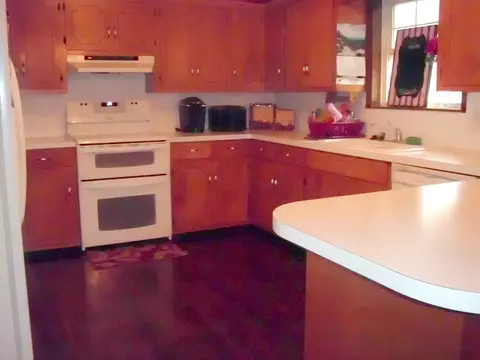 125 Birch St, Mount Ida, AR 71957 photo 4