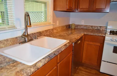 511 W Oak, Dexter, MO 63841 photo 4