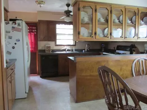 209 S Gideon Ave, Gideon, MO 63848 photo 5