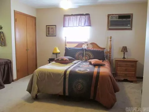 209 S Gideon Ave, Gideon, MO 63848 photo 11