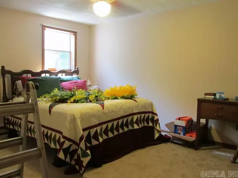 209 S Gideon Ave, Gideon, MO 63848 photo 10
