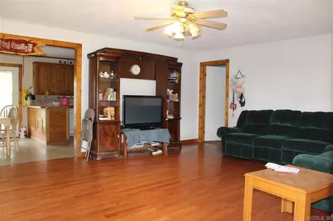 278 Lakeview Rd, Delaware, AR 72835 photo 7
