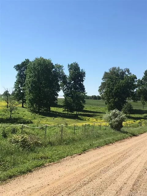 14891 County Rd 640, Dexter, MO 63841 photo 27