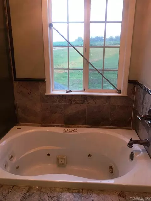 14891 County Rd 640, Dexter, MO 63841 photo 13