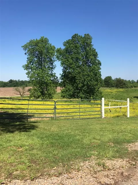14891 County Rd 640, Dexter, MO 63841 photo 24
