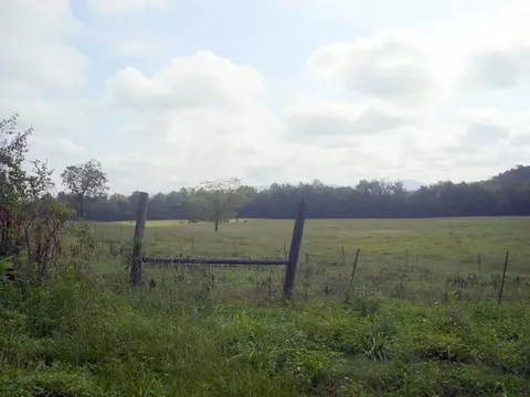 497 River Rd, Norman, AR 71960 photo 2