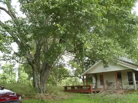 497 River Rd, Norman, AR 71960 photo 5