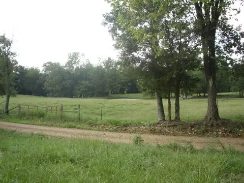 497 River Rd, Norman, AR 71960 photo 4
