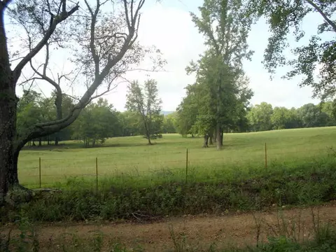 497 River Rd, Norman, AR 71960 photo 6