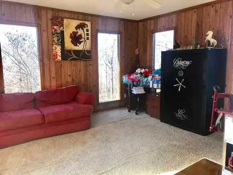 246 Greene 610 Rd, Beech Grove, AR 72412 photo 11