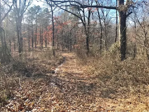 246 Greene 610 Rd, Beech Grove, AR 72412 photo 18