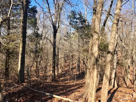 246 Greene 610 Rd, Beech Grove, AR 72412 photo 24