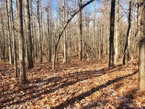 246 Greene 610 Rd, Beech Grove, AR 72412 photo 21