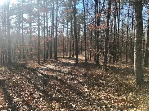 246 Greene 610 Rd, Beech Grove, AR 72412 photo 20