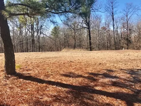 246 Greene 610 Rd, Beech Grove, AR 72412 photo 19