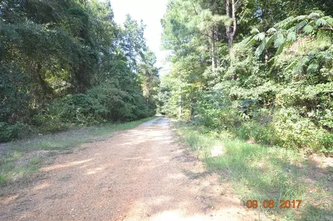178 Lafayette 60, Buckner, AR 71827 photo 16