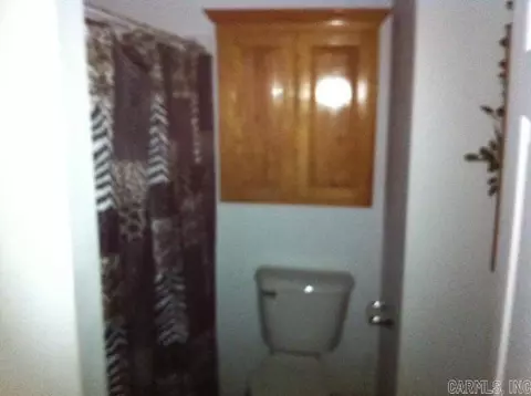 809 W Mcilroy, Ozark, AR 72949 photo 11