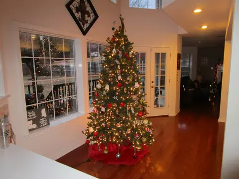 1426 Eldridge Ave, Wynne, AR 72396 photo 9