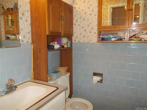 602 E Short Mountain St, Paris, AR 72855 photo 22