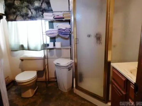 680 County Highway 470, Steele, MO 63877 photo 7