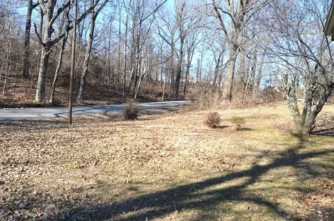 509 Worley Rd, Dexter, MO 63841 photo 11