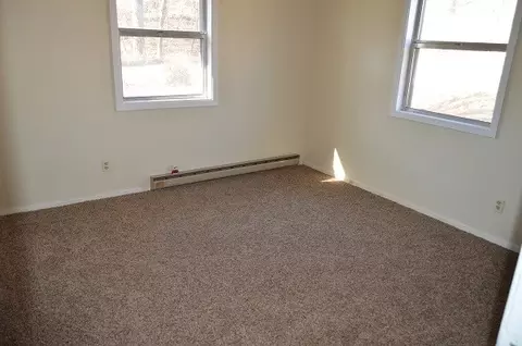 509 Worley Rd, Dexter, MO 63841 photo 8