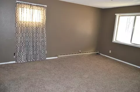 509 Worley Rd, Dexter, MO 63841 photo 2