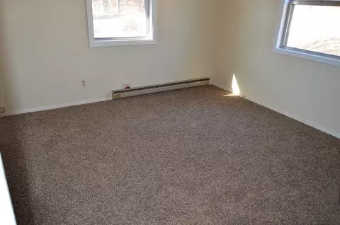 509 Worley Rd, Dexter, MO 63841 photo 6
