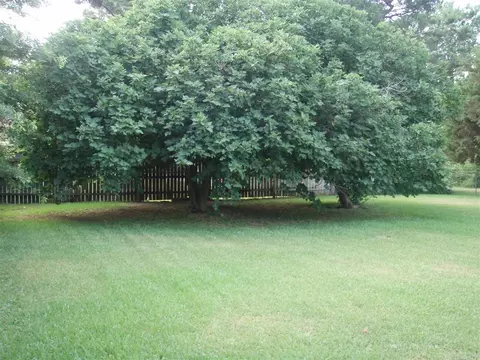 2150 Walnut, Ashdown, AR 71822 photo 19