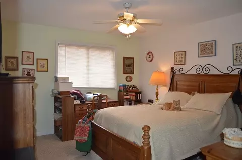 10398 Chalk Bluff Ct, Dexter, MO 63841 photo 10