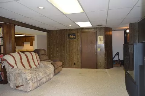 10398 Chalk Bluff Ct, Dexter, MO 63841 photo 12