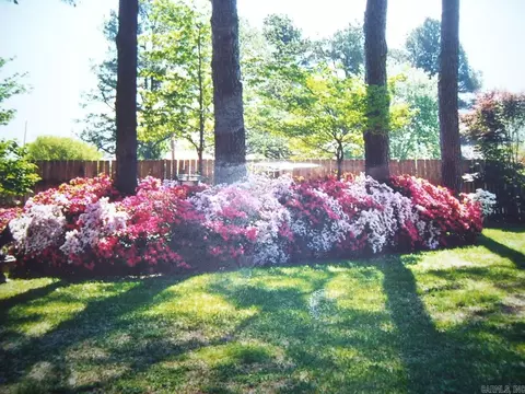 430 Traverse St, Ashdown, AR 71822 photo 36
