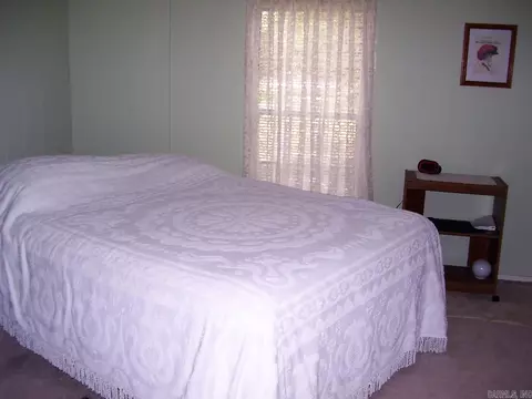 140 Honey Bee Dr, Ashdown, AR 71822 photo 10